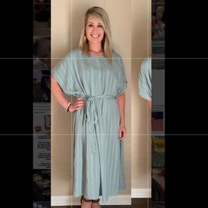 Scarlet Stripped Sage Dress